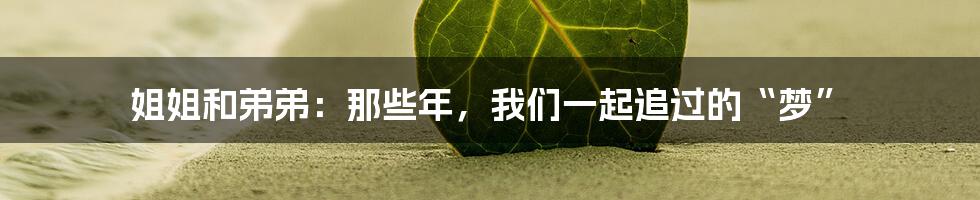姐姐和弟弟:那些年,我们一起追过的“梦”