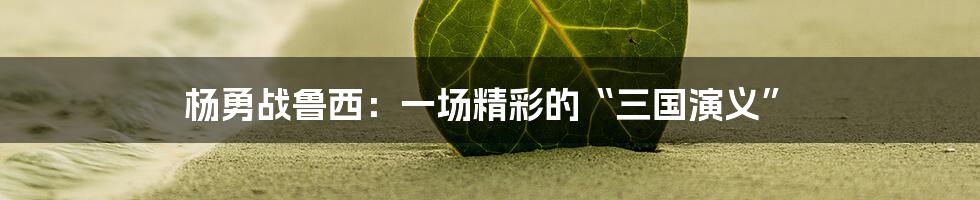 杨勇战鲁西:一场精彩的“三国演义”