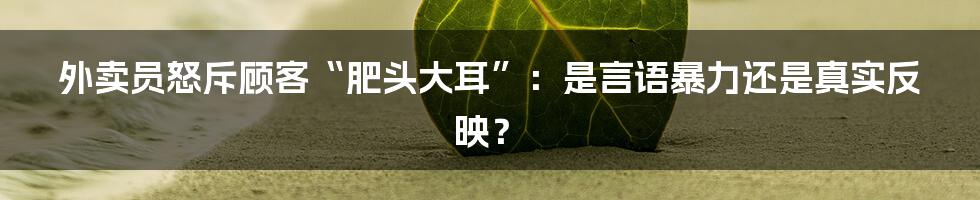 外卖员怒斥顾客“肥头大耳”:是言语暴力还是真实反映?
