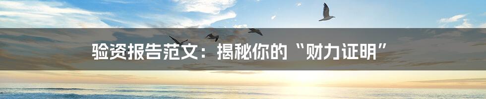 验资报告范文:揭秘你的“财力证明”