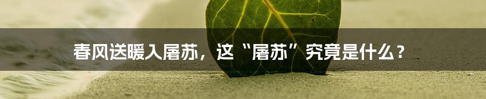 春风送暖入屠苏,这“屠苏”究竟是什么?