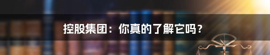 控股集团：你真的了解它吗？