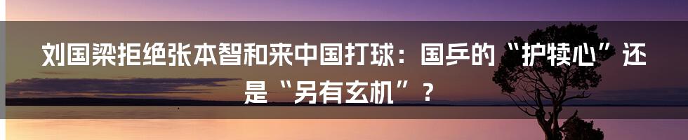 刘国梁拒绝张本智和来中国打球：国乒的“护犊心”还是“另有玄机”？
