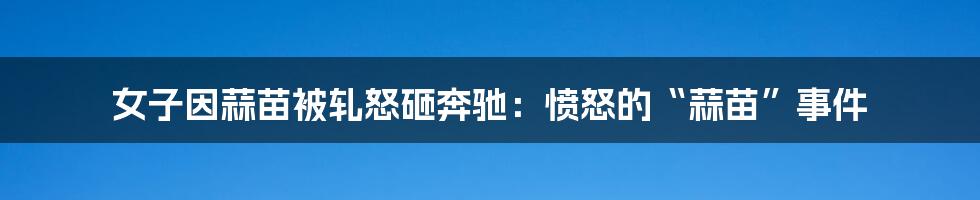 女子因蒜苗被轧怒砸奔驰:愤怒的“蒜苗”事件
