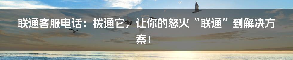 联通客服电话:拨通它,让你的怒火“联通”到解决方案!