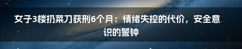 女子3楼扔菜刀获刑6个月:情绪失控的代价,安全意识的警钟