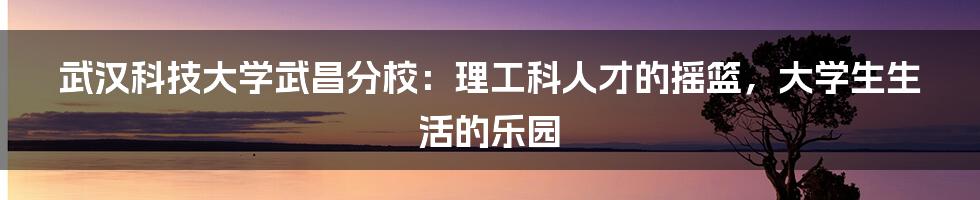 武汉科技大学武昌分校:理工科人才的摇篮,大学生生活的乐园