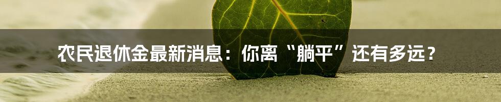 农民退休金最新消息:你离“躺平”还有多远?