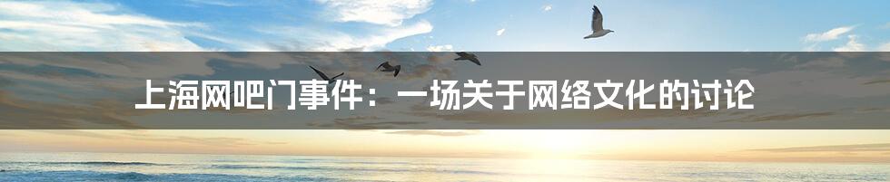 上海网吧门事件:一场关于网络文化的讨论