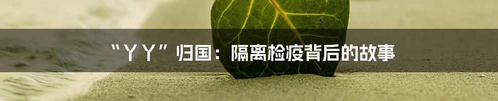 “丫丫”归国:隔离检疫背后的故事