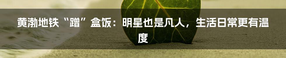 黄渤地铁“蹭”盒饭：明星也是凡人，生活日常更有温度