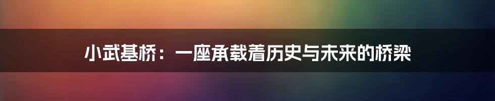 小武基桥:一座承载着历史与未来的桥梁