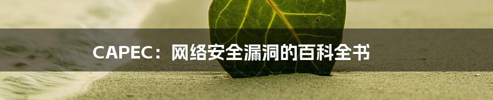 CAPEC:网络安全漏洞的百科全书