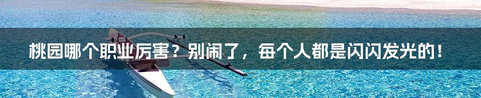 桃园哪个职业厉害？别闹了，每个人都是闪闪发光的！