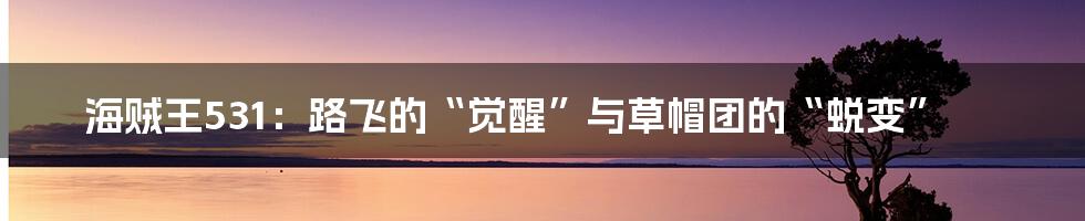 海贼王531:路飞的“觉醒”与草帽团的“蜕变”