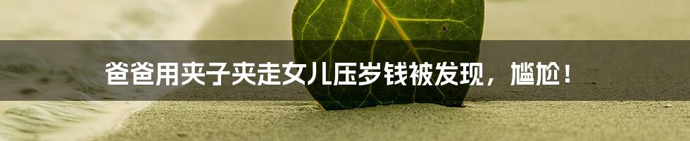 爸爸用夹子夹走女儿压岁钱被发现，尴尬！