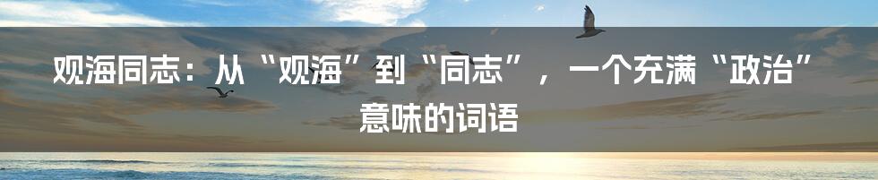 观海同志:从“观海”到“同志”,一个充满“政治”意味的词语