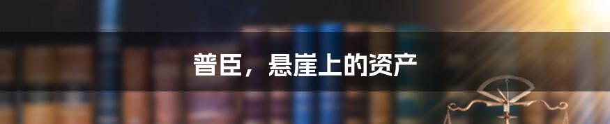 普臣，悬崖上的资产