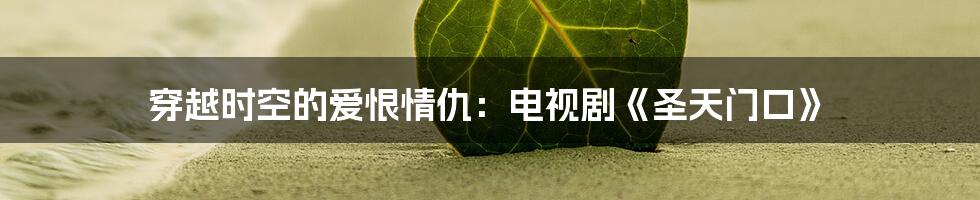穿越时空的爱恨情仇:电视剧《圣天门口》
