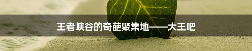 王者峡谷的奇葩聚集地——大王吧