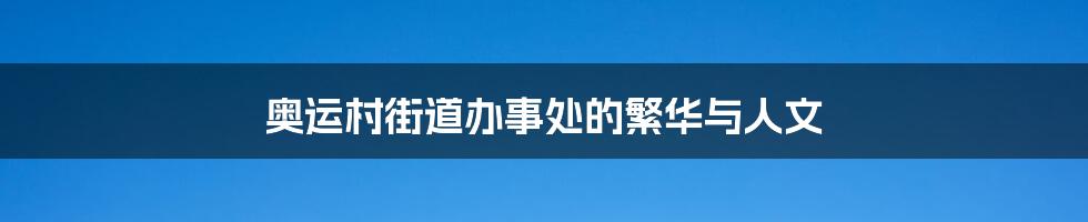奥运村街道办事处的繁华与人文