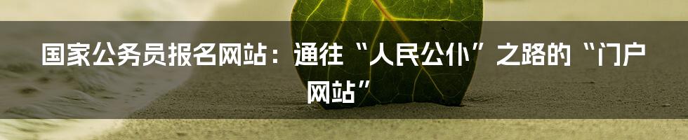 国家公务员报名网站:通往“人民公仆”之路的“门户网站”