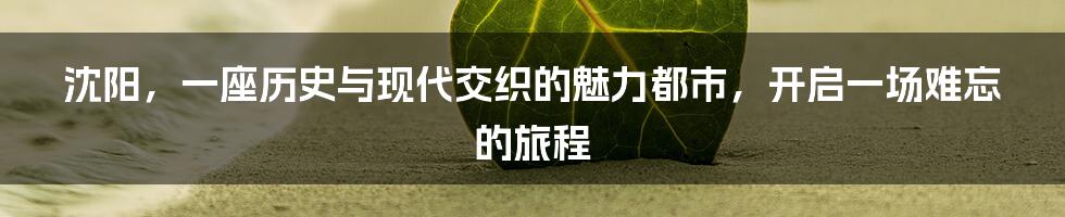 沈阳,一座历史与现代交织的魅力都市,开启一场难忘的旅程