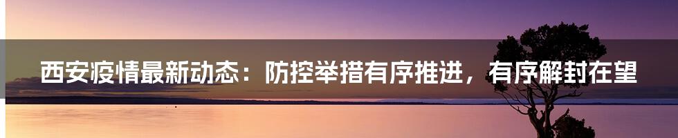 西安疫情最新动态:防控举措有序推进,有序解封在望