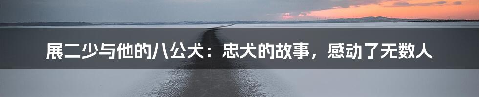 展二少与他的八公犬:忠犬的故事,感动了无数人