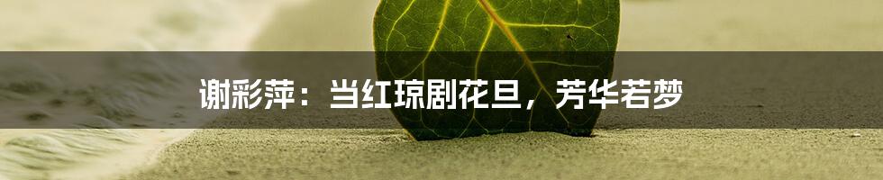 谢彩萍:当红琼剧花旦,芳华若梦