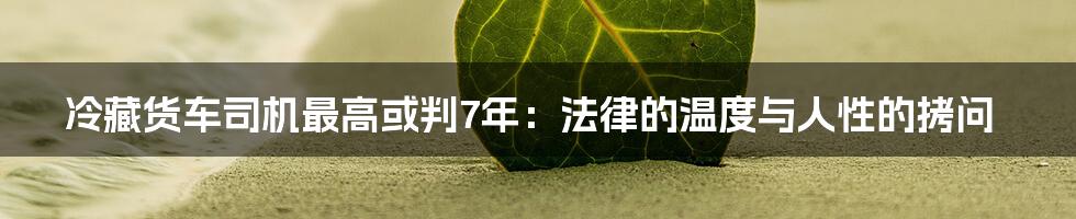 冷藏货车司机最高或判7年:法律的温度与人性的拷问