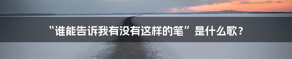 “谁能告诉我有没有这样的笔”是什么歌?