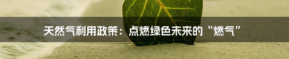 天然气利用政策:点燃绿色未来的“燃气”