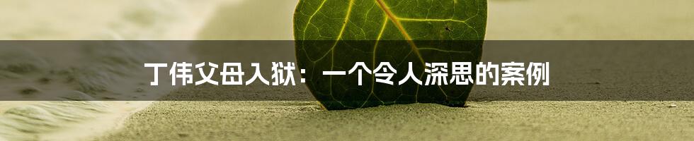 丁伟父母入狱：一个令人深思的案例