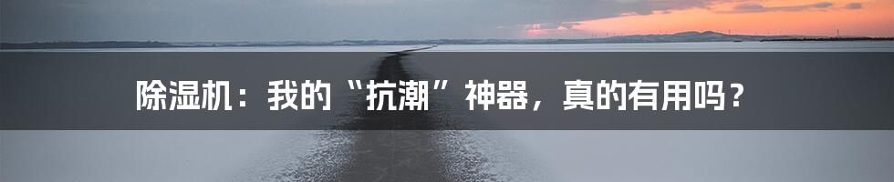 除湿机：我的“抗潮”神器，真的有用吗？