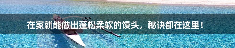 在家就能做出蓬松柔软的馒头,秘诀都在这里!