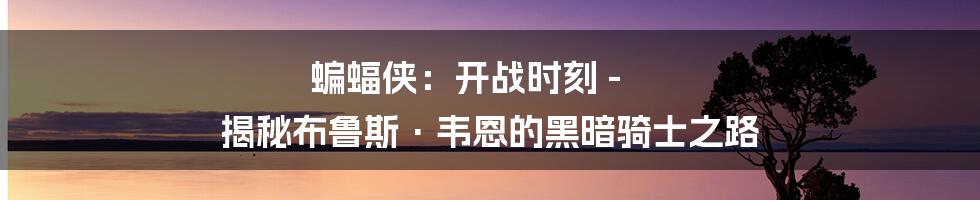 蝙蝠侠:开战时刻 - 揭秘布鲁斯·韦恩的黑暗骑士之路