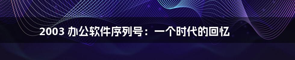 2003 办公软件序列号:一个时代的回忆