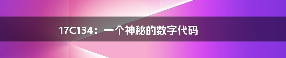 17C134:一个神秘的数字代码
