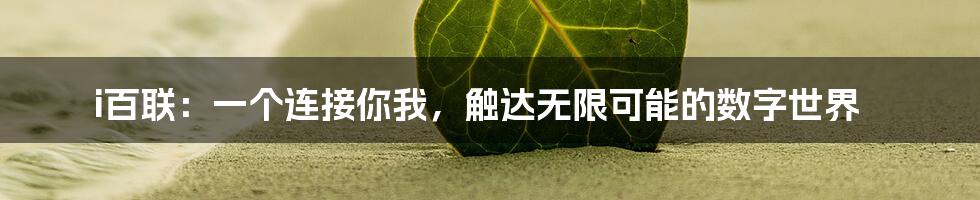 i百联:一个连接你我,触达无限可能的数字世界