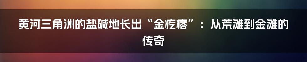 黄河三角洲的盐碱地长出“金疙瘩”:从荒滩到金滩的传奇