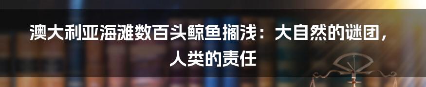 澳大利亚海滩数百头鲸鱼搁浅:大自然的谜团,人类的责任