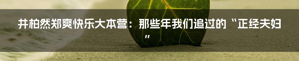 井柏然郑爽快乐大本营：那些年我们追过的“正经夫妇”