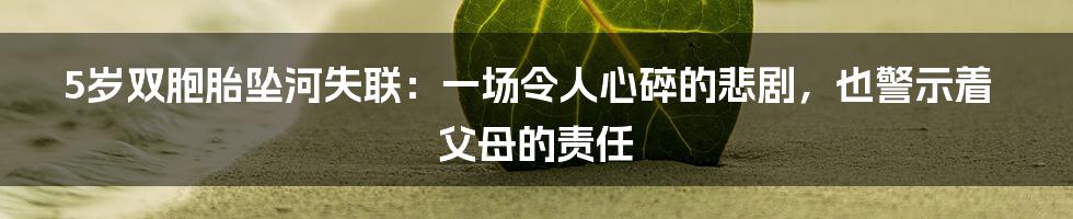 5岁双胞胎坠河失联:一场令人心碎的悲剧,也警示着父母的责任