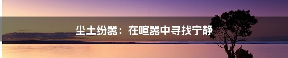尘土纷嚣:在喧嚣中寻找宁静
