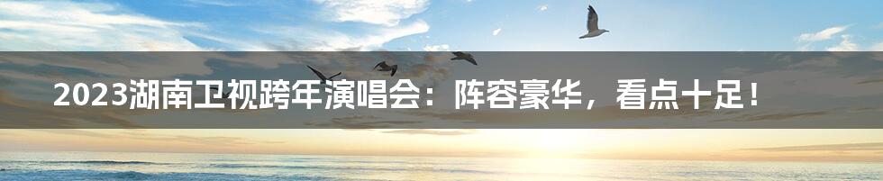 2023湖南卫视跨年演唱会:阵容豪华,看点十足!