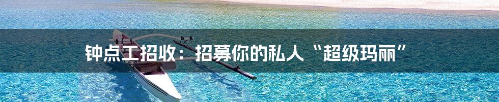 钟点工招收：招募你的私人“超级玛丽”