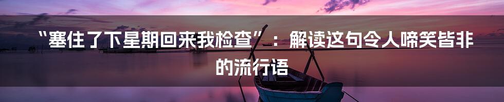 “塞住了下星期回来我检查”:解读这句令人啼笑皆非的流行语
