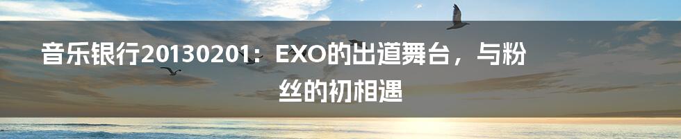 音乐银行20130201:EXO的出道舞台,与粉丝的初相遇
