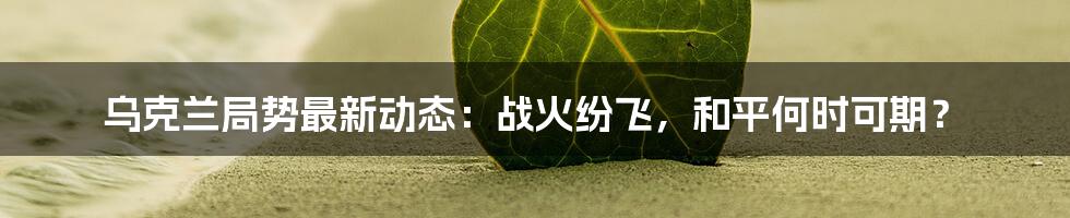 乌克兰局势最新动态:战火纷飞,和平何时可期?